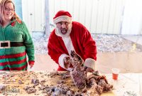 4 Elf 2018-11