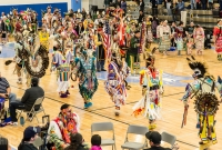 43rd Dance For Mother Earth Powwow - 2015-11