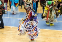 43rd Dance For Mother Earth Powwow - 2015-18