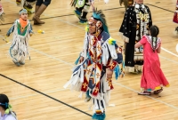 43rd Dance For Mother Earth Powwow - 2015-37
