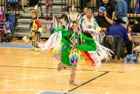 43rd Dance For Mother Earth Powwow - 2015 -39