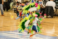 43rd Dance For Mother Earth Powwow - 2015 -43