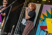 50th-Ann-Arbor-Blues-Festival-3