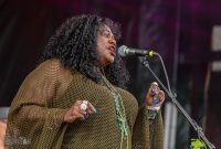 50th-Ann-Arbor-Blues-Festival-73