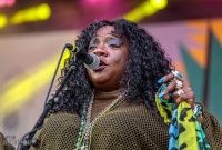 50th-Ann-Arbor-Blues-Festival-84