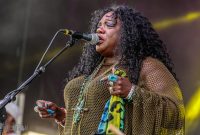 50th-Ann-Arbor-Blues-Festival-87