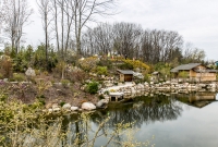 Frederik Meijer Gardens - Spring 2016-32