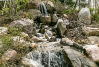 Frederik Meijer Gardens - Spring 2016-36