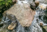 Frederik Meijer Gardens - Spring 2016-37