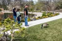 Frederik Meijer Gardens - Spring 2016-39