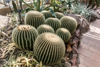 Frederik Meijer Gardens - Spring 2016-5