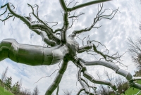 Frederik Meijer Gardens - Spring 2016-56