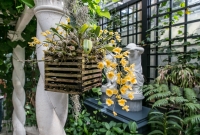 Frederik Meijer Gardens - Spring 2016-6