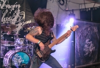 From Blue To Gray - The Loft - 2016-38