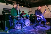 Jackpine Snag - FuzzFest 3