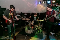 Disinformants - FuzzFest 3
