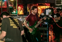 Disinformants - FuzzFest 3