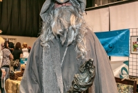 Motor City Comic Con - 2016-85
