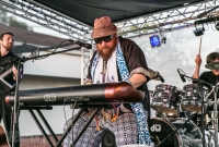 Nicholas David - Rumpus Room - 2016-6
