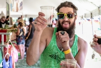 Michigan Summer Beer Fest - 2016-110