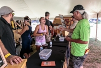 Michigan Summer Beer Fest - 2016-174
