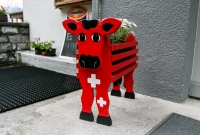 Switzerland Day 1-2016-22