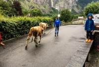 Switzerland Day 3-2016-19