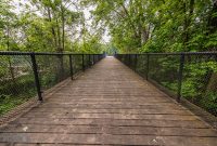 Allegan-2024-4