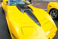 Rolling Sculpture Car Show - Ann Arbor - 2014
