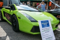 Rolling Sculpture Car Show - Ann Arbor - 2014