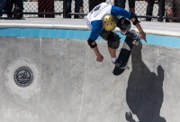 Ann Arbor Skate Park Opening 2014