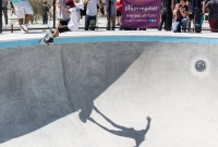 Ann Arbor Skate Park Opening 2014