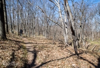 Ann Arbor Trails - Bird Hill - 2015-10