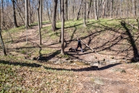 Ann Arbor Trails - Bird Hill - 2015-11