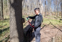Ann Arbor Trails - Bird Hill - 2015-12