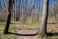 Ann Arbor Trails - Bird Hill - 2015-13