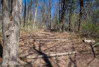 Ann Arbor Trails - Bird Hill - 2015-18