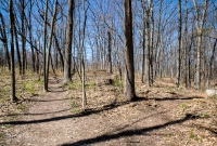 Ann Arbor Trails - Bird Hill - 2015-20