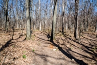 Ann Arbor Trails - Bird Hill - 2015-21