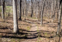 Ann Arbor Trails - Bird Hill - 2015-22