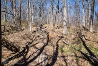 Ann Arbor Trails - Bird Hill - 2015-23