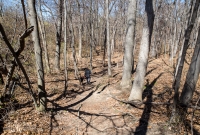 Ann Arbor Trails - Bird Hill - 2015-24