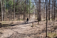 Ann Arbor Trails - Bird Hill - 2015-26