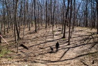 Ann Arbor Trails - Bird Hill - 2015-27