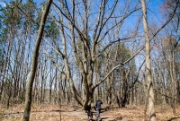 Ann Arbor Trails - Bird Hill - 2015-31