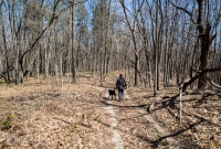Ann Arbor Trails - Bird Hill - 2015-32