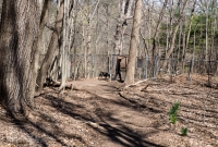 Ann Arbor Trails - Bird Hill - 2015-34