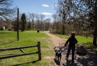 Ann Arbor Trails - Bird Hill - 2015-36