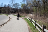 Ann Arbor Trails - Bird Hill - 2015-4
