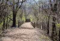 Ann Arbor Trails - Bird Hill - 2015-40